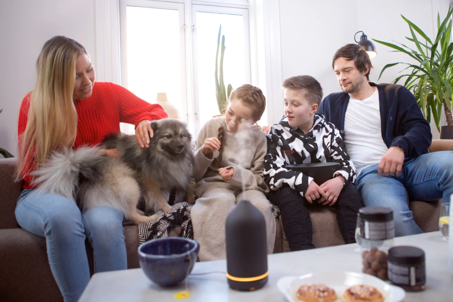 Essential oils and pets: Everything you need to know