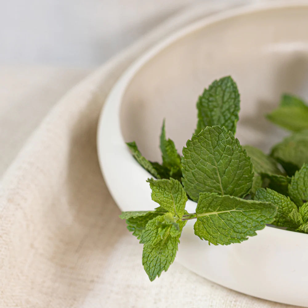 Peppermint_1000x.webp__PID:5cdc1c3f-d911-4f5c-8546-2a3b681c7867