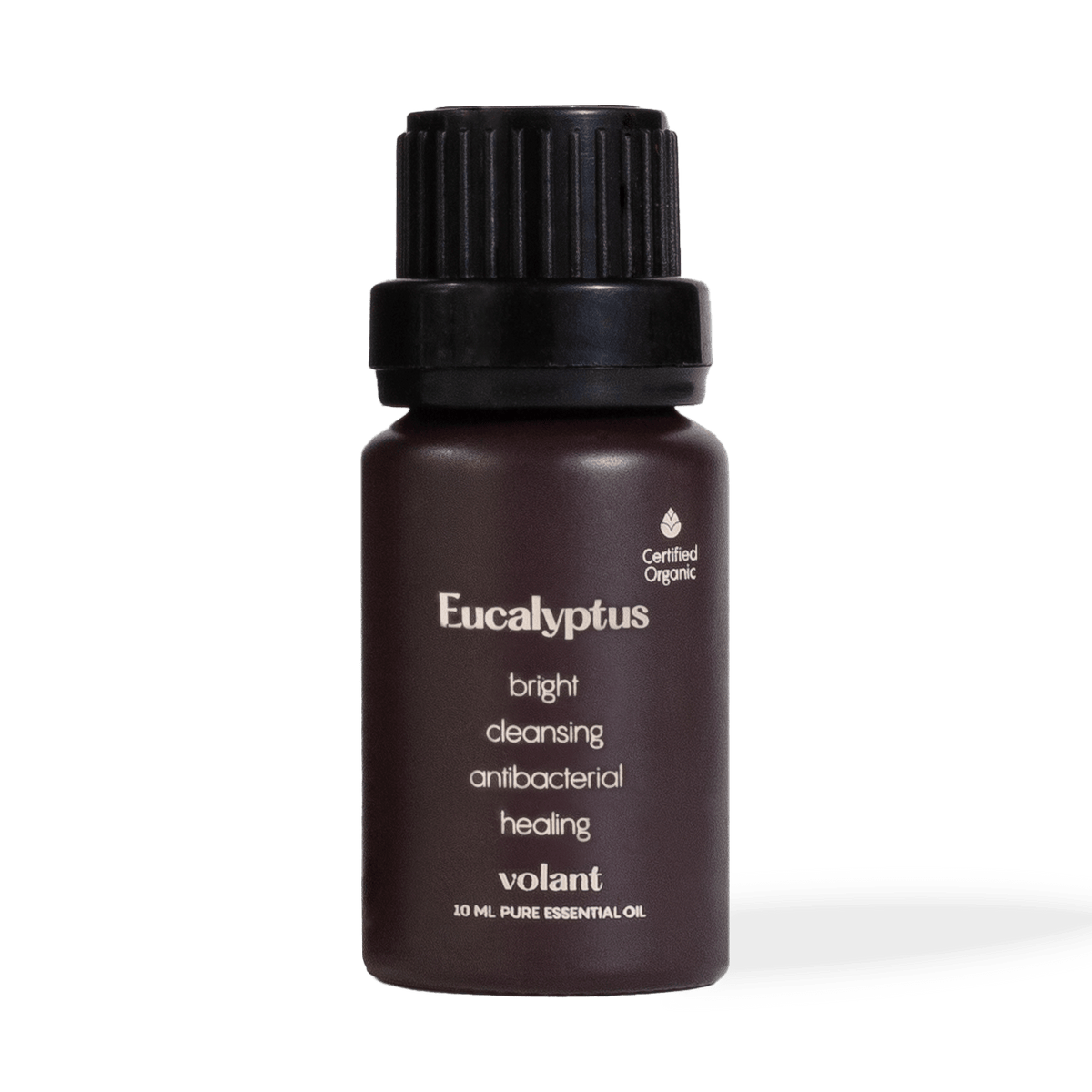 Eucalyptus