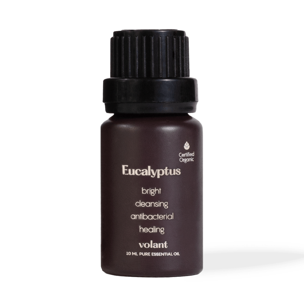 Eucalyptus