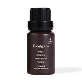 Eucalyptus