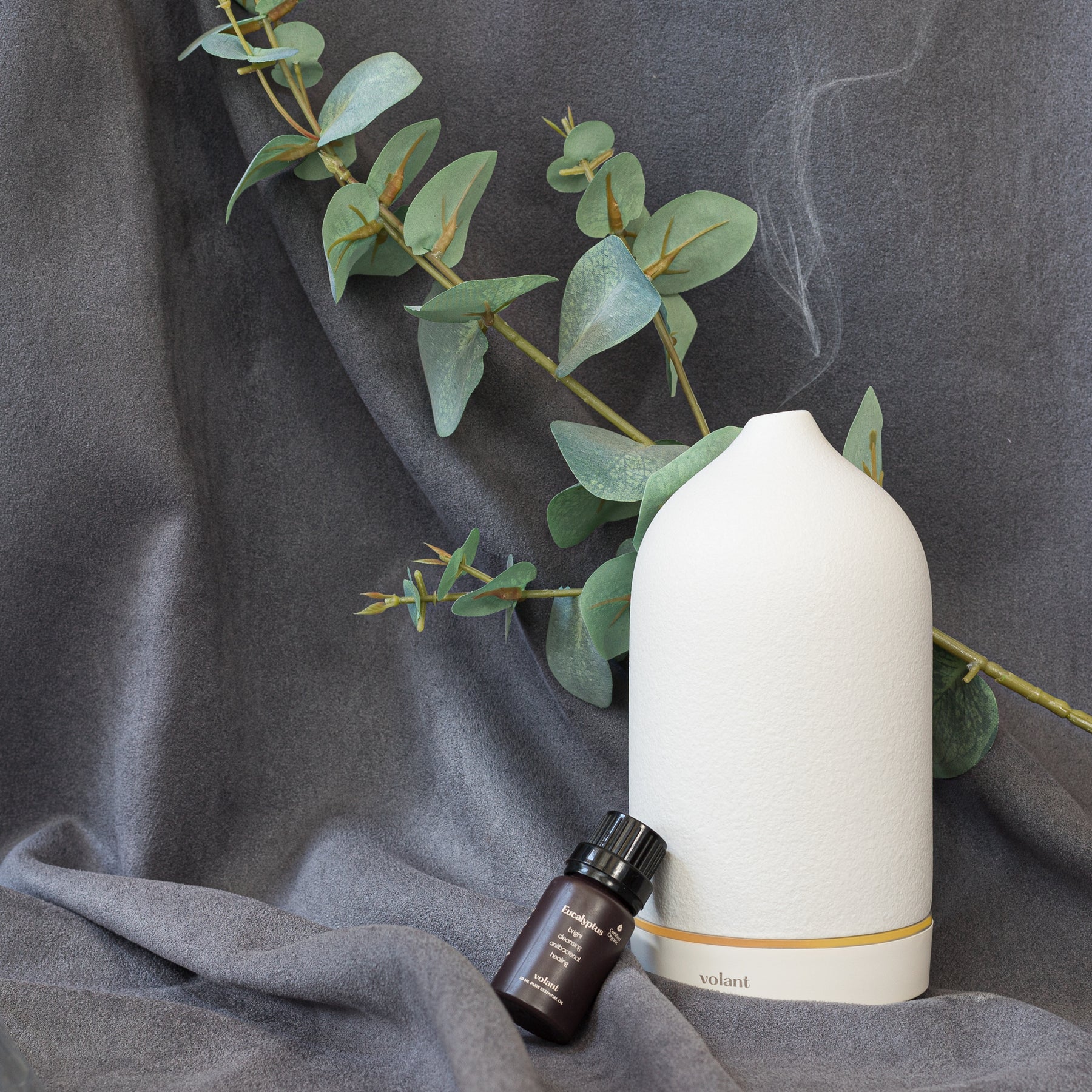 Eucalyptus