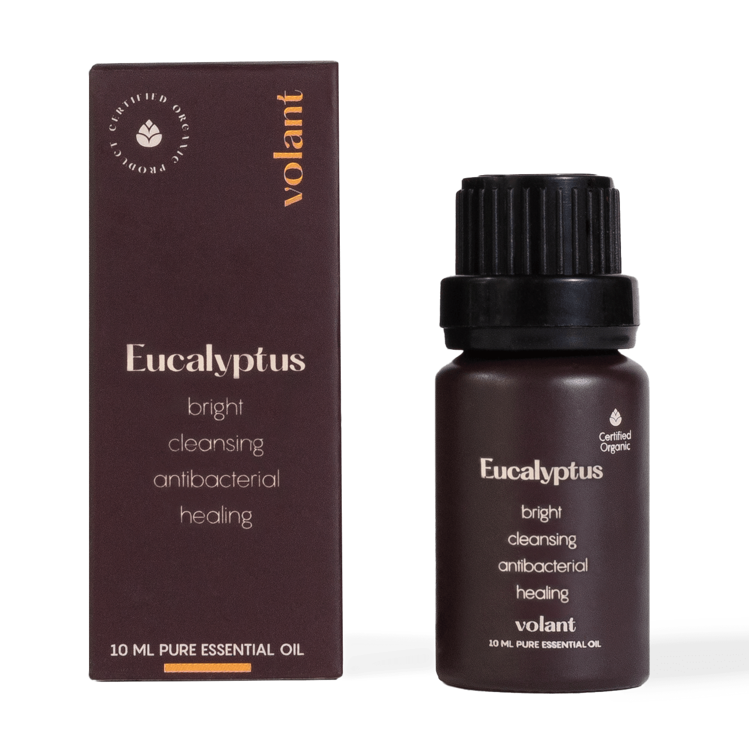 Eucalyptus