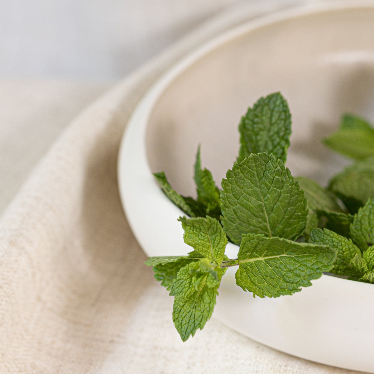 Økologisk Peppermint Eterisk Olje