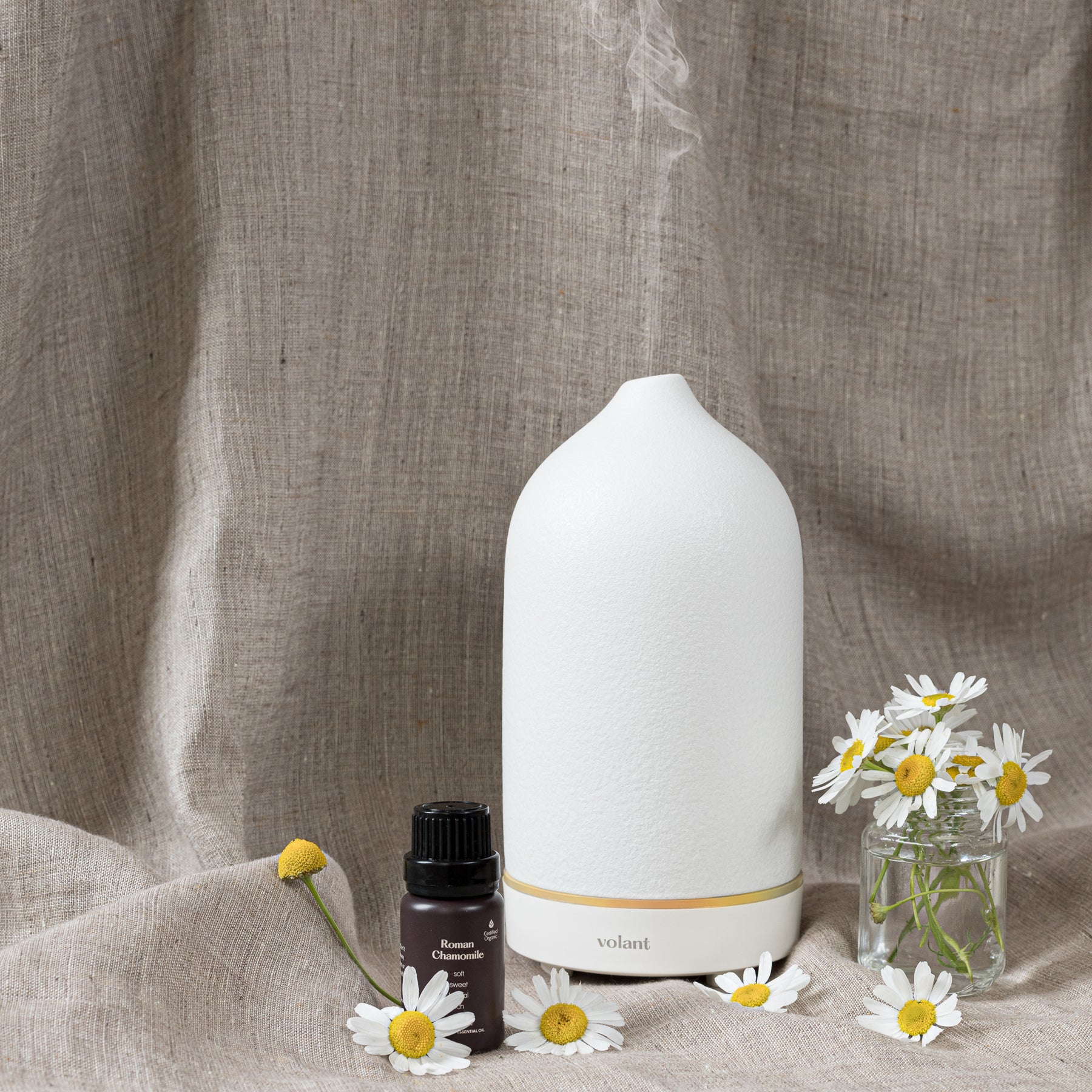 Økologisk Roman Chamomile Eterisk Olje