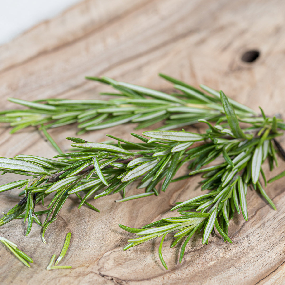 Økologisk Rosemary Eterisk Olje