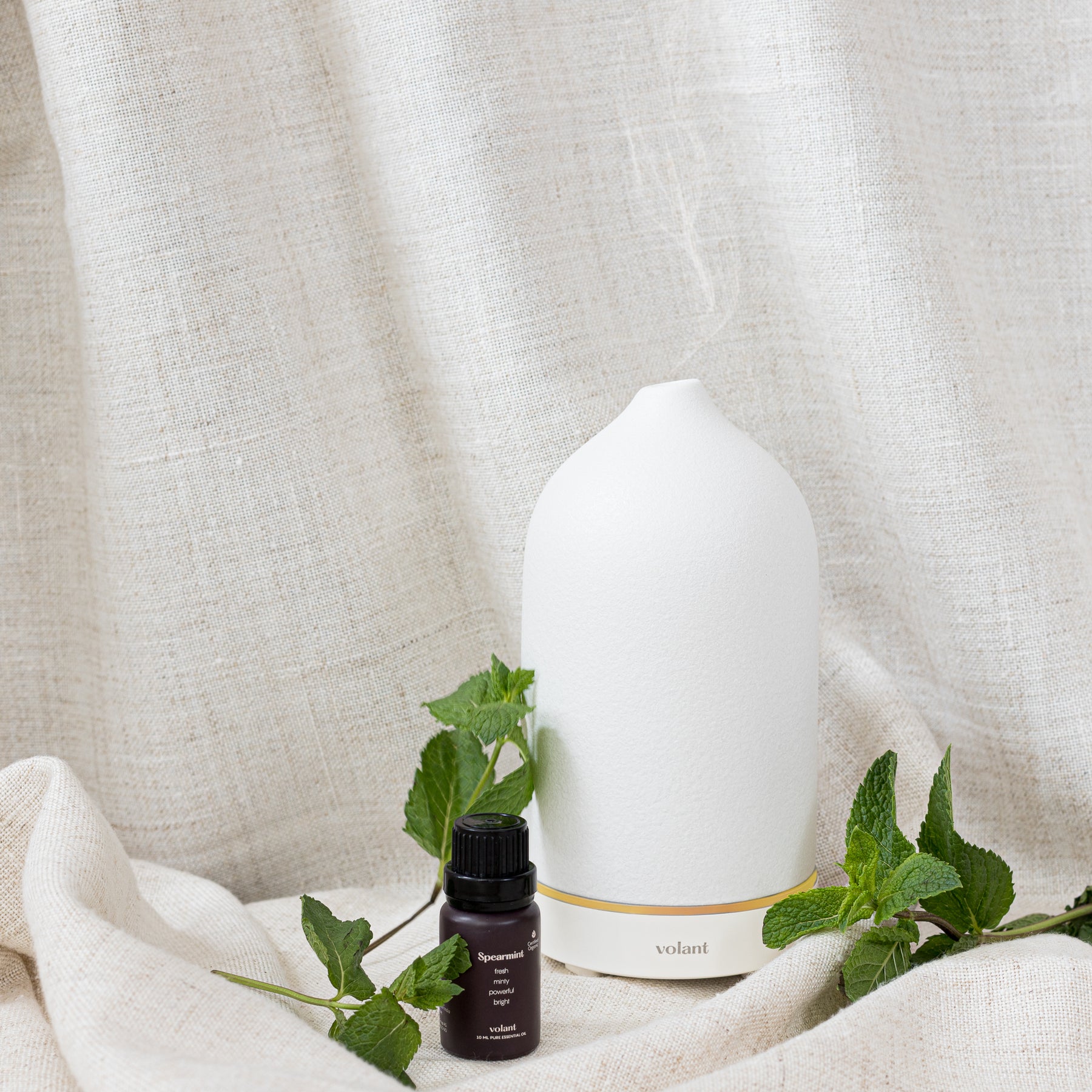 Økologisk Spearmint Eterisk Olje