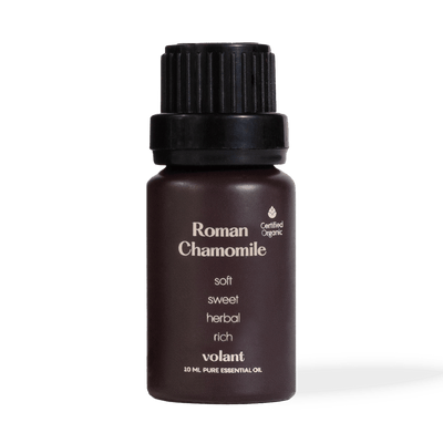 Økologisk Roman Chamomile Eterisk Olje