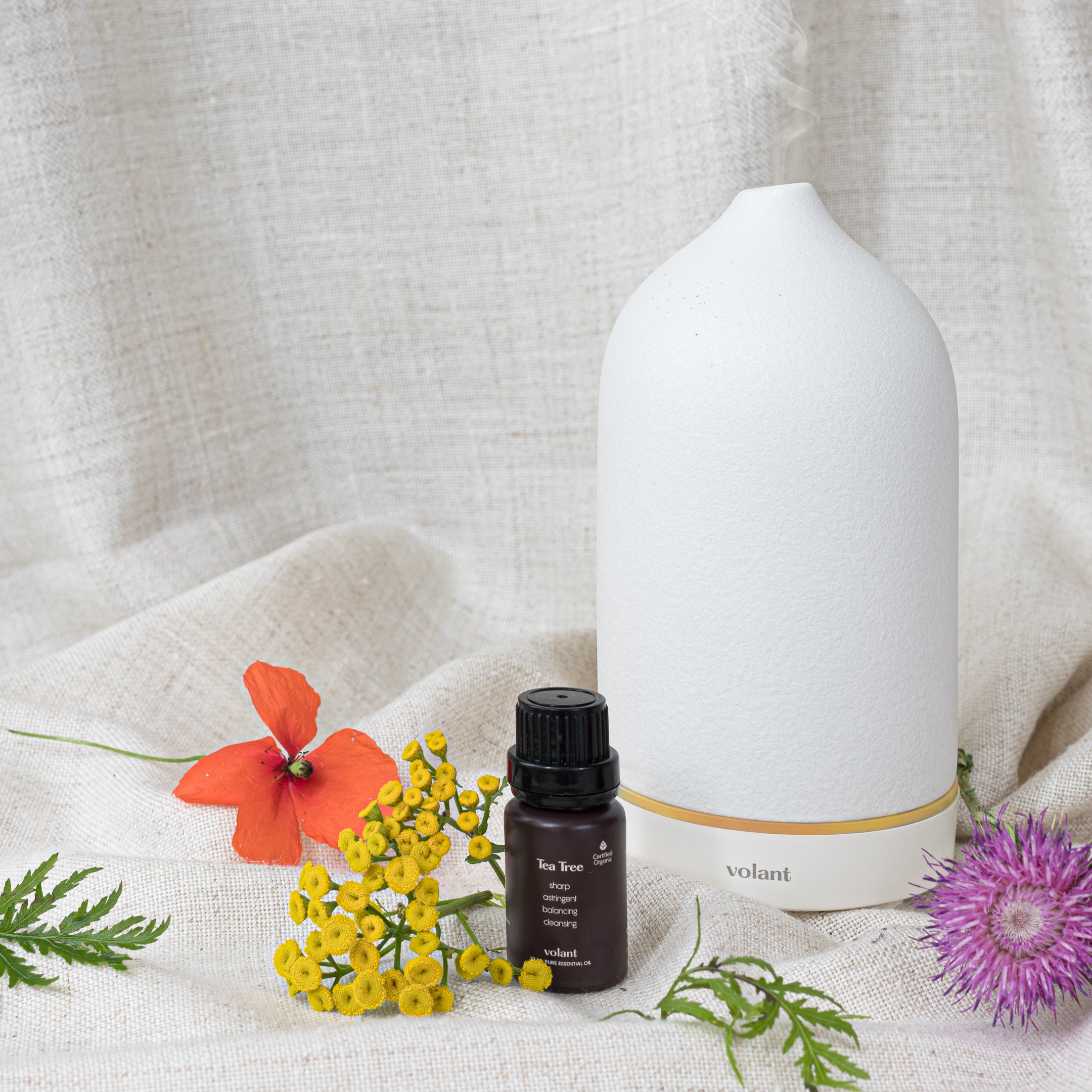 Økologisk Tea Tree Eterisk Olje